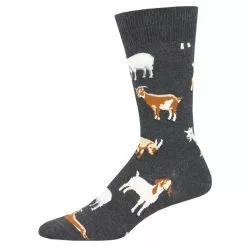 Men's Silly Billy Socks -Chubbies Store Men s Silly Billy Socks CHH 1 17107.1603645322