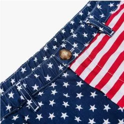 Men's Chubbies 5.5" The 'Mericas Cotton Swim Trunks -Chubbies Store mens chubbies 5.5 the mericas cotton swim 001201 12 closeup 63980.1621885664