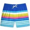 Men's Chubbies 5.5" The Newports Swim Trunks -Chubbies Store mens chubbies 5.5in the newports 109221 26 BRTBLUE 20200.1647553596