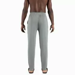 Men's SAXX 22nd Century Silk Lounge Pant 6 Men's SAXX 22nd Century Silk Lounge Pant -Chubbies Store mens saxx 22nd century silk pant sxlp67 cgr cargo grey back 49738.1667573323