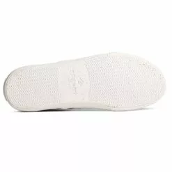 Men's Sperry Seacycled Striper II CVO Sneaker -Chubbies Store mens sperry seacycled striper II cvo baja sneaker STS25167 taupe bottom 92601.1681402615