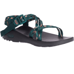 Womens' Chaco Z/Cloud X Sandal -Warren Pine