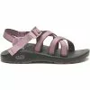 Women's Chaco Banded Z/Cloud Sandal - Outskirt Elderberry 2 Women's Chaco Banded Z/Cloud Sandal - Outskirt Elderberry -Chubbies Store womens chaco banded z cloud sandal JCH109022 ELDERBRY outskirt elderberry 27905.1644421785