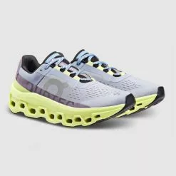 On Running Women's On Cloudmonster